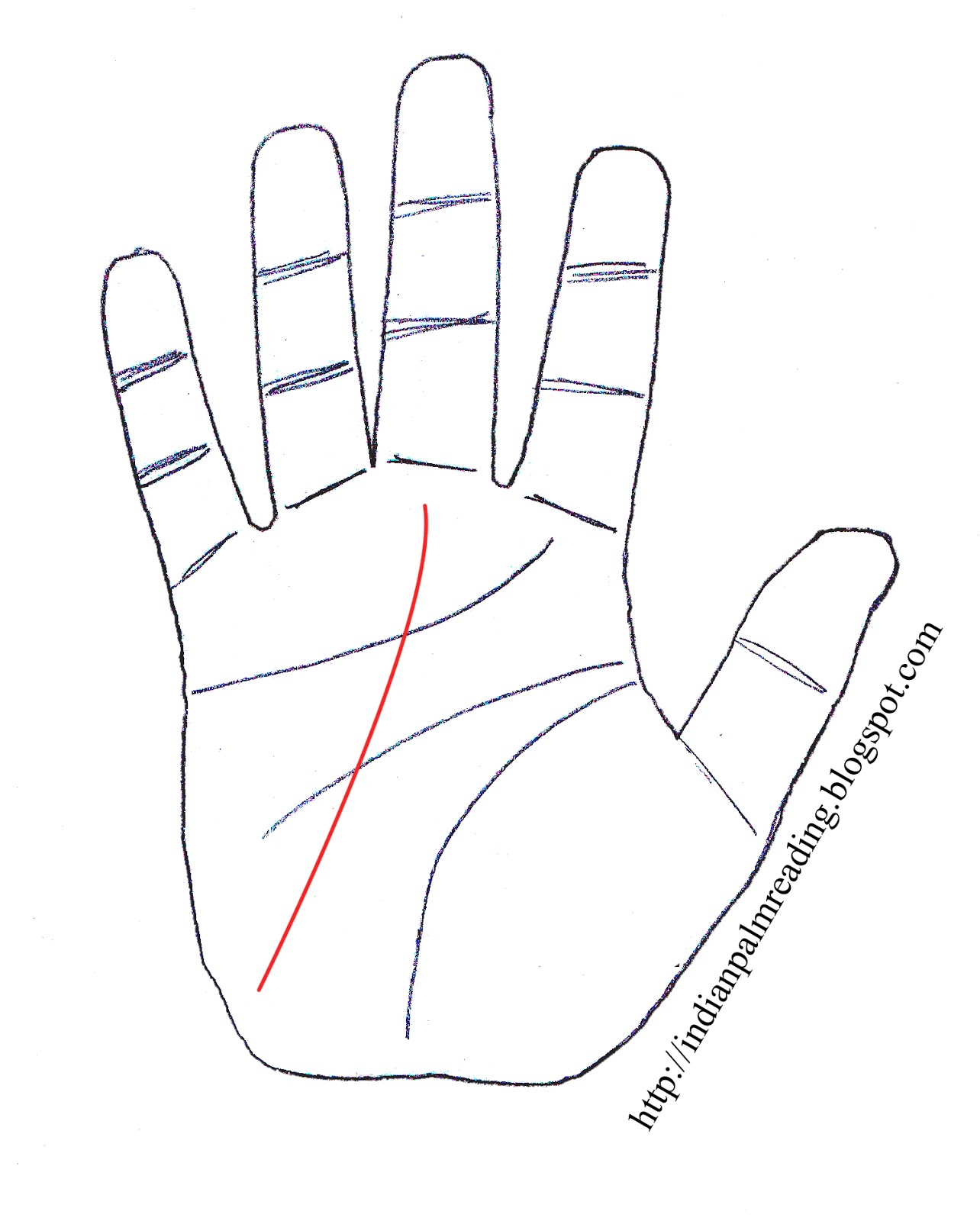 Meaning of Fate Line In Indian Palmistry | INDIAN PALM READING ...